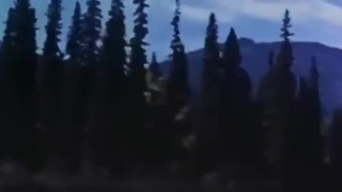 We are the last ones. We have a responsibility. It is an honor not a burden