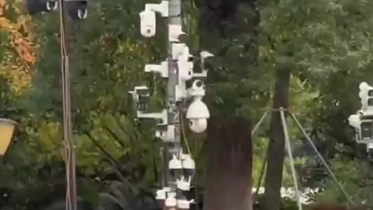 המצלמות חייבות לרדת לפני שיצמחו יתרבו ויתפשטו כמו בסין