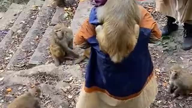 Funniest Moments Clips