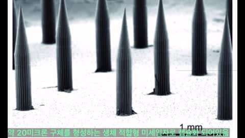 [펌] [예피] [2022.02.21] 양자점문신과 짐승의 표