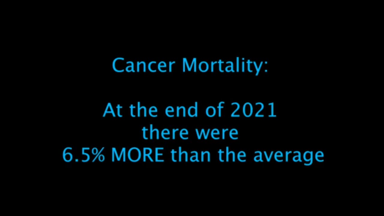 What does "Total Mortality" and "Excess Mortality" mean?