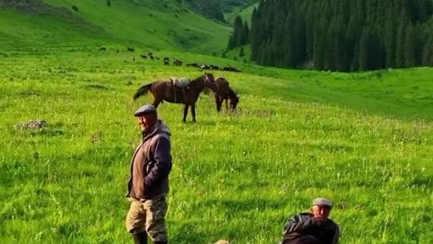 Some beautiful scenes of the horses in Kazakhstan 🐴🇰🇿