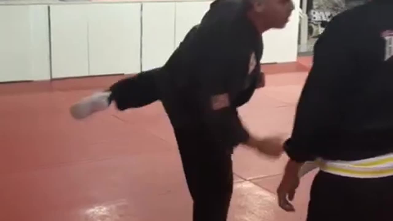 Jump Spinning Heel Kick