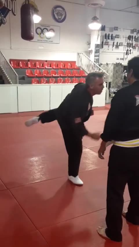 Jump Spinning Heel Kick