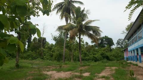 Enstrümental Uyghur Musique
