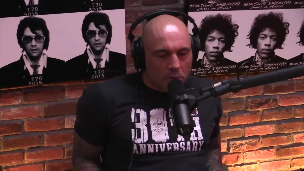 'Joe Rogan & Jim Brewer On JFK, The President, And The Illuminati' - 2016