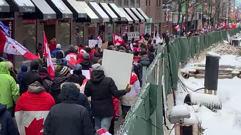 Masses of Canadians march through Toronto chanting “freedom”