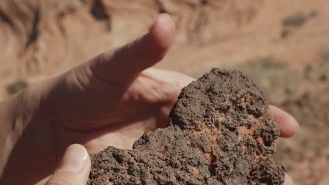 Perseverance Rover’s Descent and Touchdown on Mars (Official NASA Video)