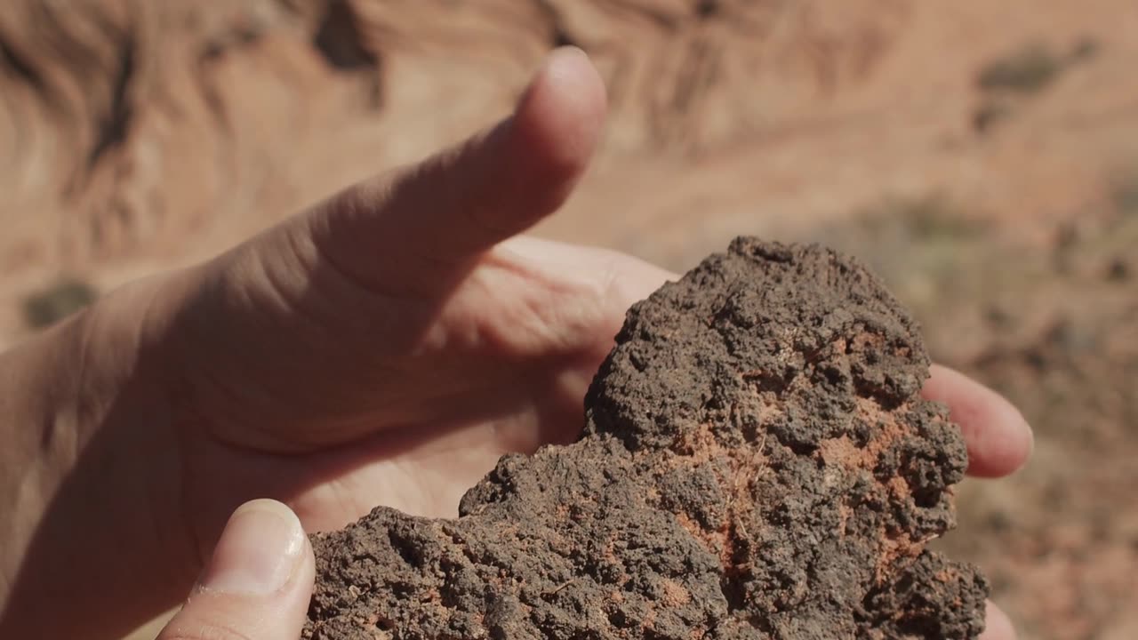 Perseverance Rover’s Descent and Touchdown on Mars (Official NASA Video)
