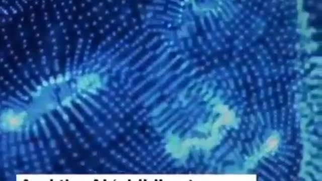 AI now has the capability to reproduce itself.