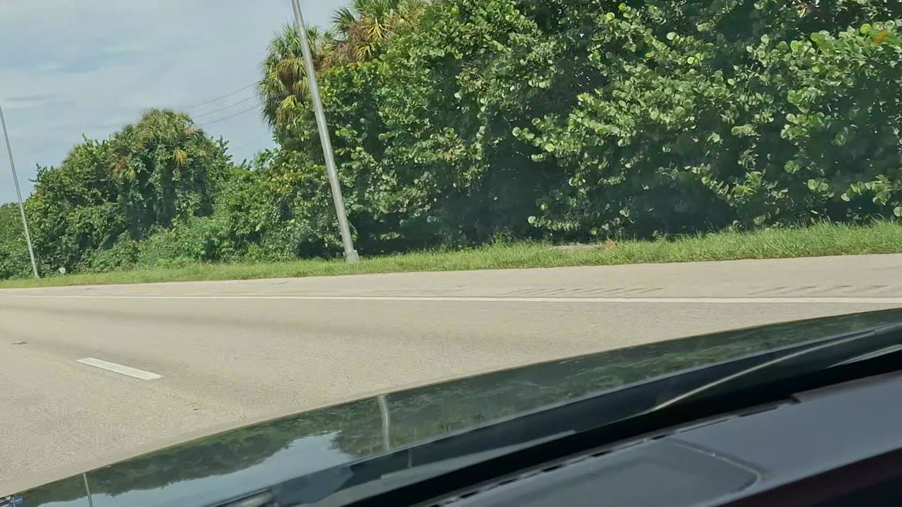 🦊🏎Travel Break