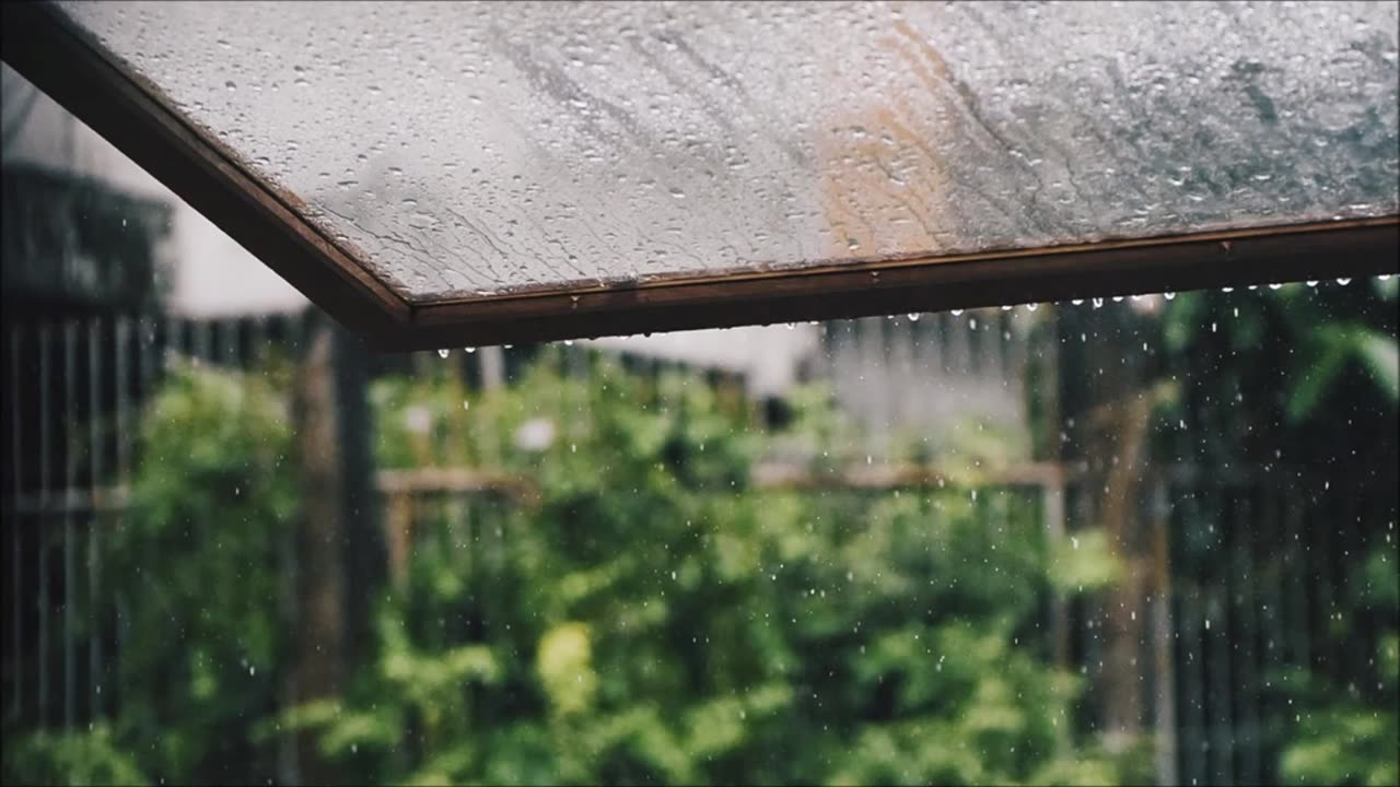 Rain Sounds Relax