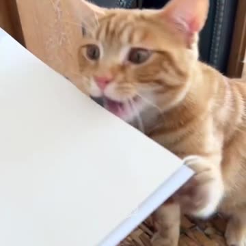 News Break: New Hole punch