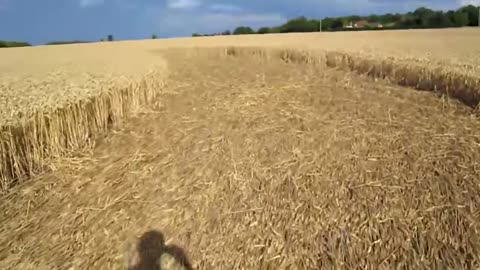 Wickham Crop Circle Footage Amazing Video