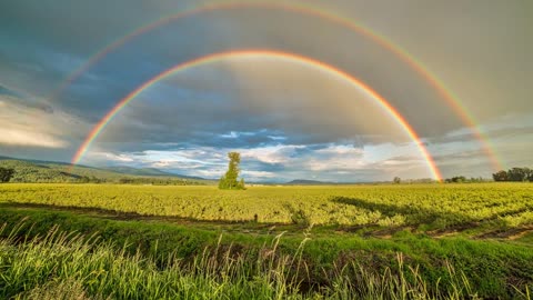 beautiful nature video