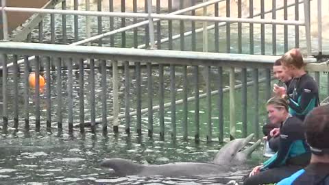 Waimanalo, HI — Sea Life Park Hawaii #5