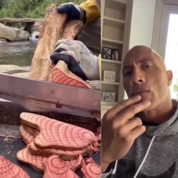 The Rock Johnson Reaction #satisfying #reaction
