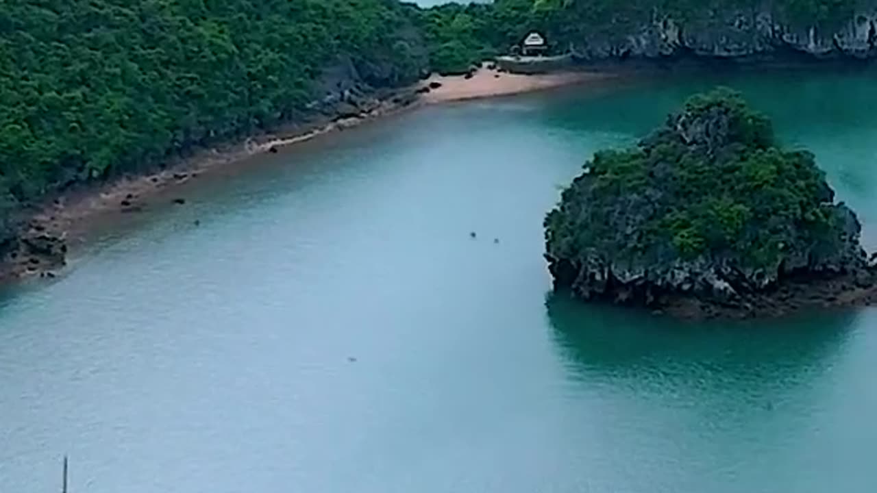 Vietnam that will make you want to go there