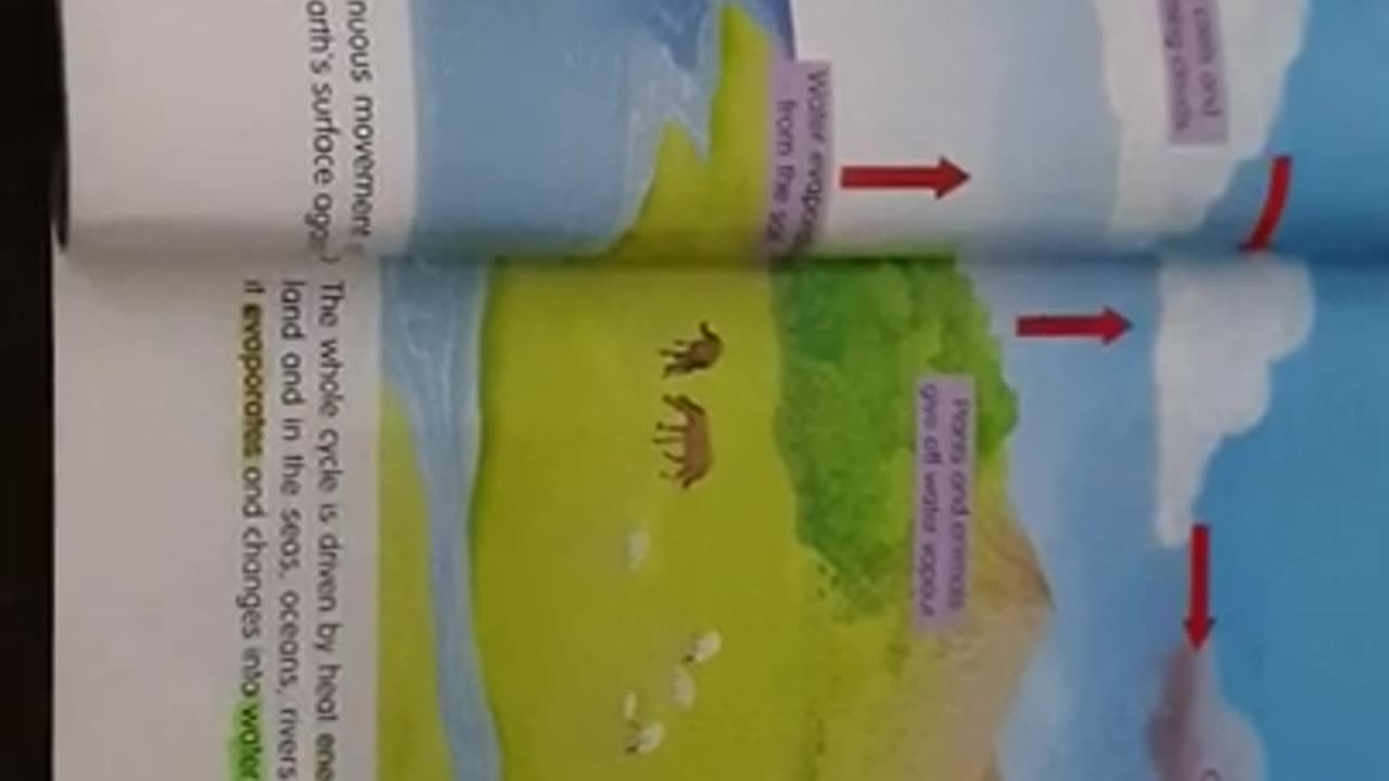 Full explanation of watercycle