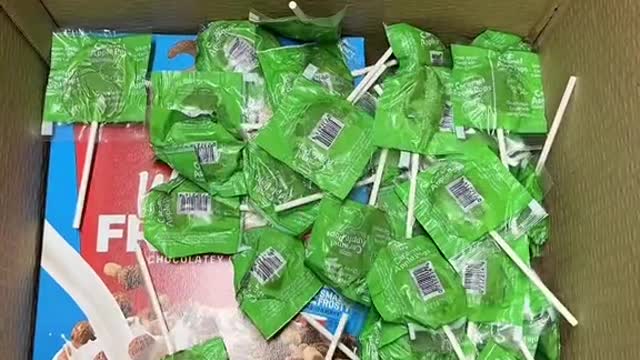 of the Ukrainian Independence Movement.