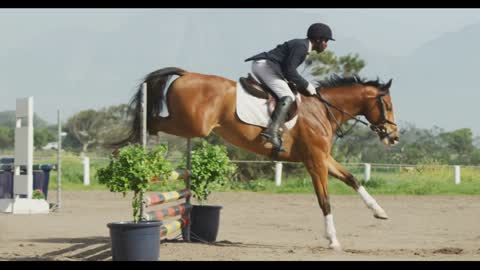 African American man jumping an obstacle with his Dressage horse