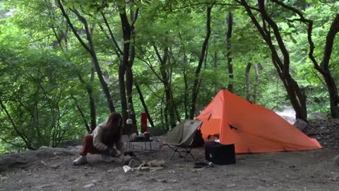 Solo in the Tropical jungle Covering Tents Alluring Setting up camp