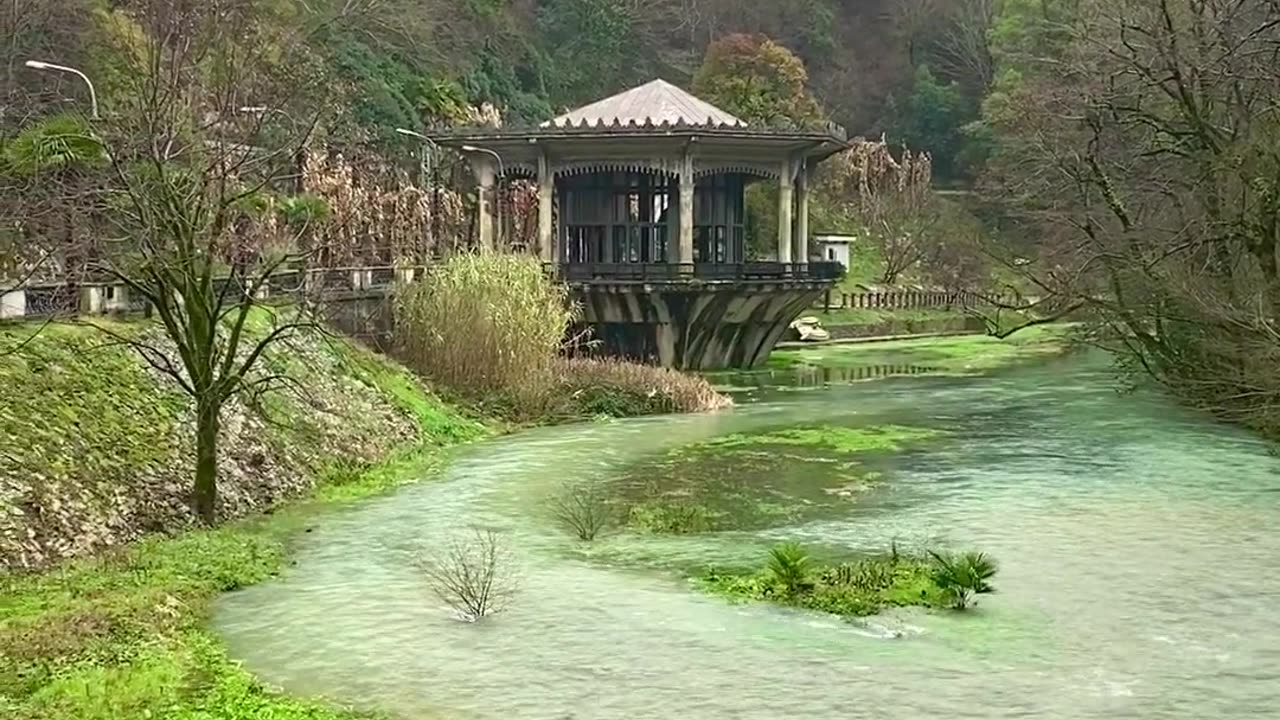 Nature