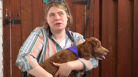 Service dog saves owner 15 times a day | Wholesome video