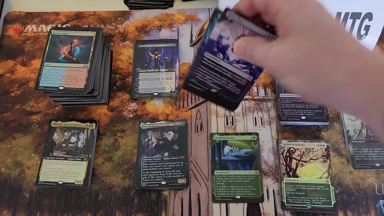 wilds of eldraine collector box value review