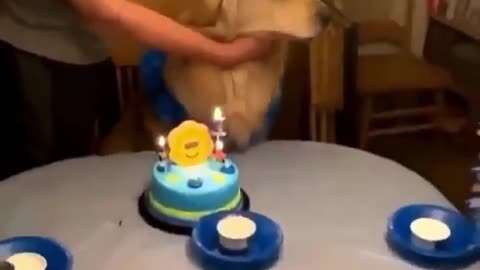 Let's sing to it