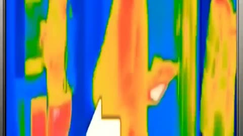 AMAZING HR Detail FLIR CX5 Thermal Cam w. WiFi #flir #thermal #amazon