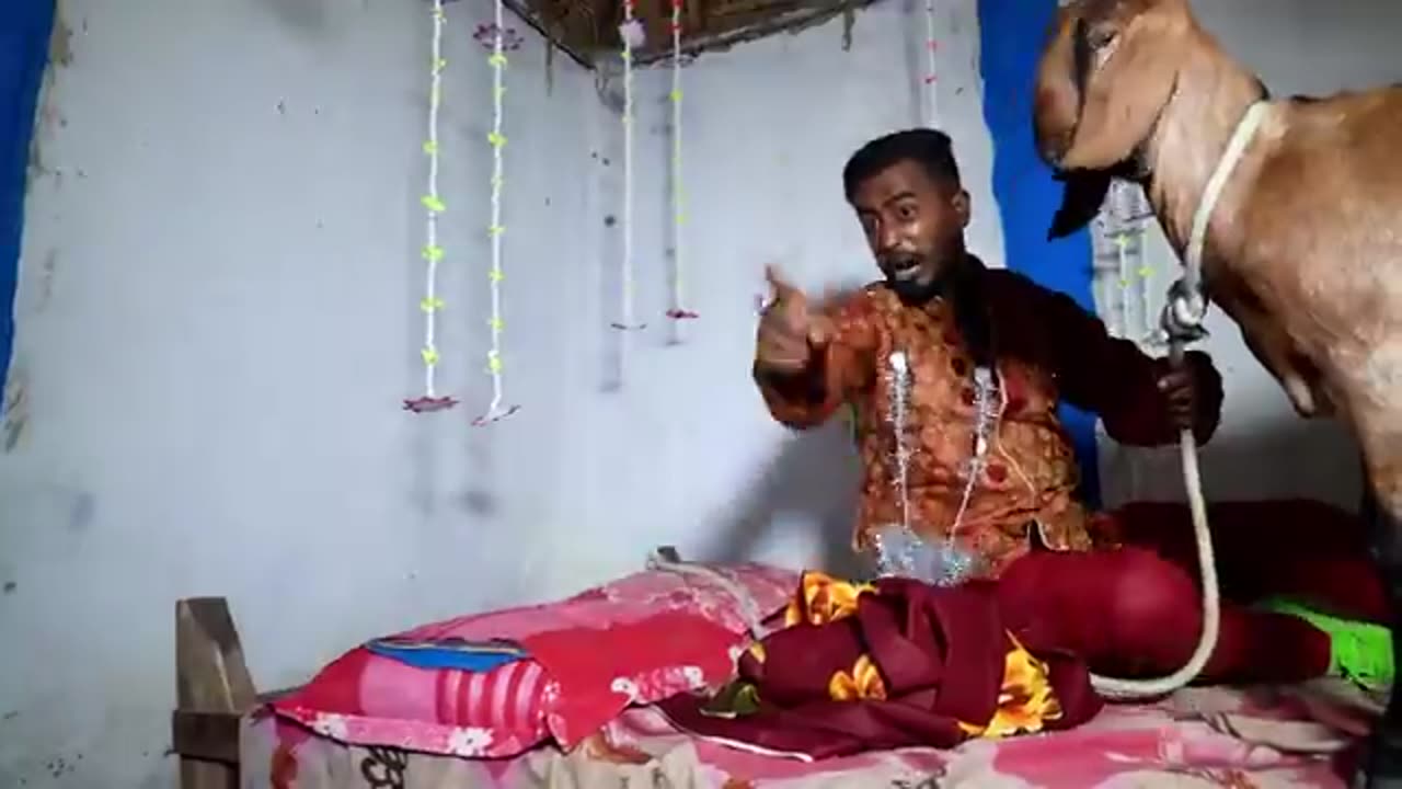 Very funny comedy video new video virel video 2023