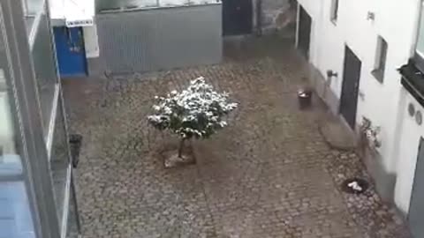 Live här hemma. Södra Storgatan 37A, Helsingborg 4 Febr. 2018