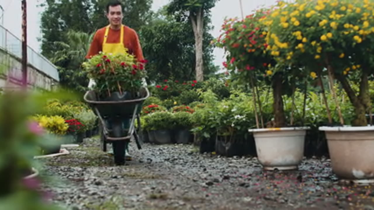 Professional Hardscape Designs to Enrich Your Outdoor Aesthetic