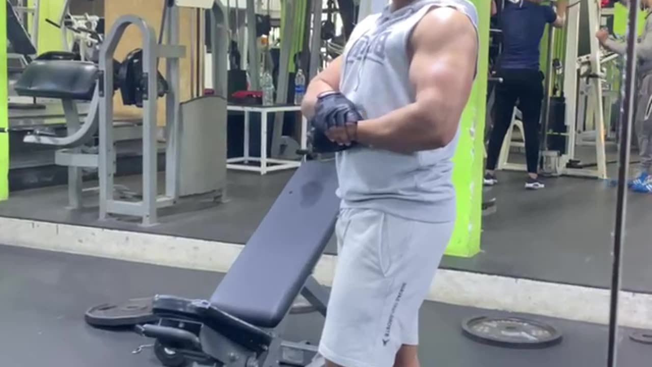 biceps and treceps exercices top