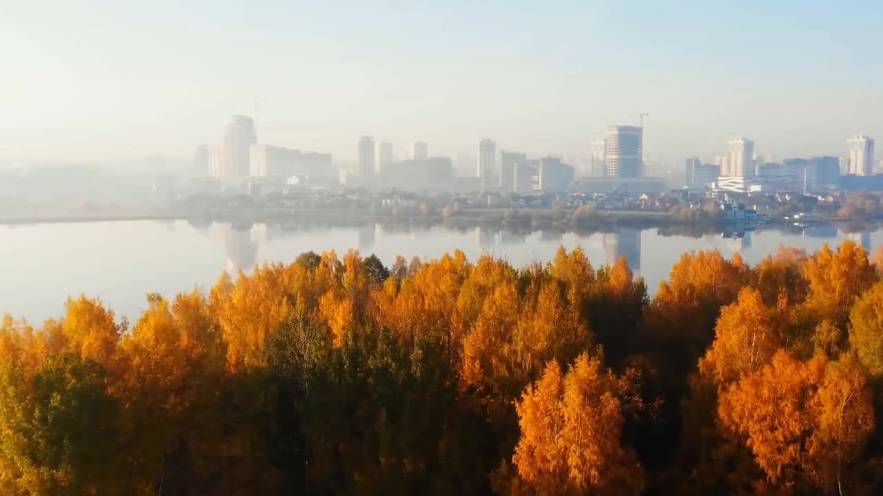 Enchanting Autumn Forests with Beautiful Piano Music