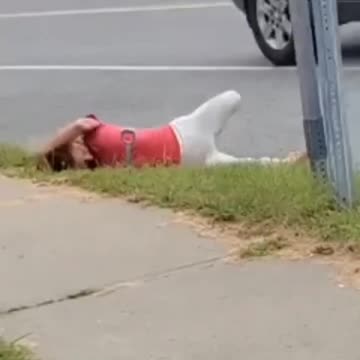 America 2024.... FJB