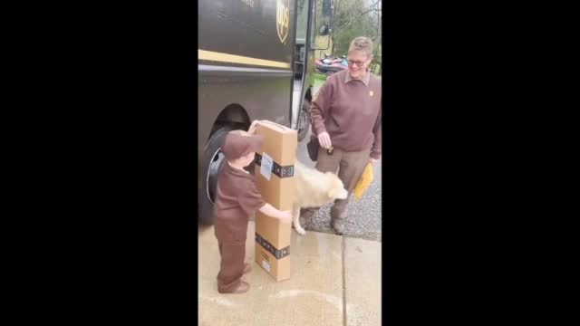 Kid Loves UPS Driver