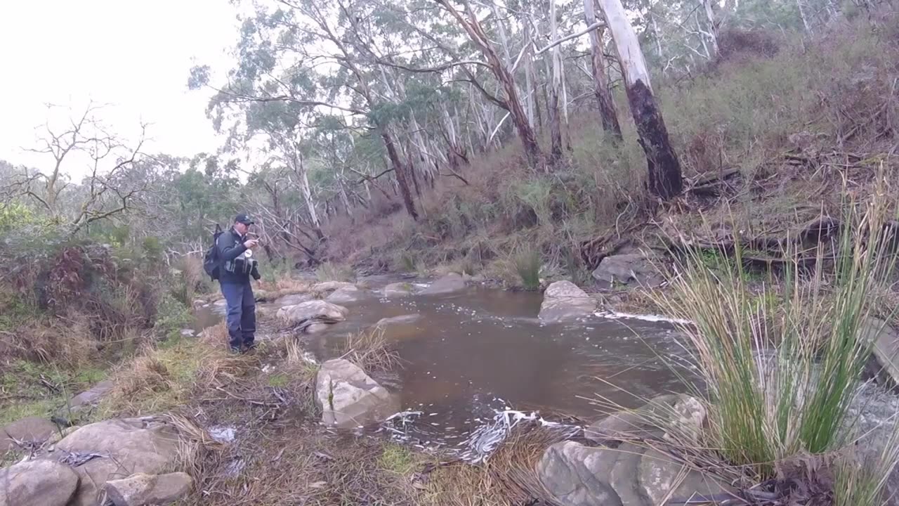 Fly fishing in the Adelaide Hills