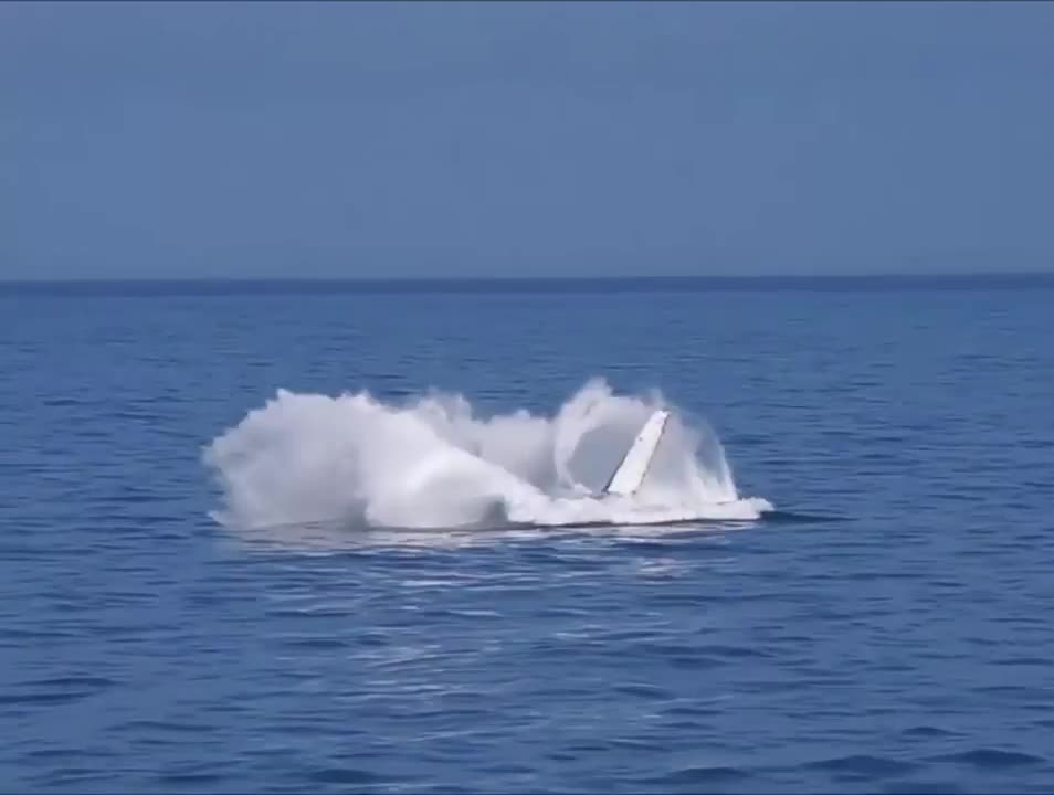 Amazing Whale Flip