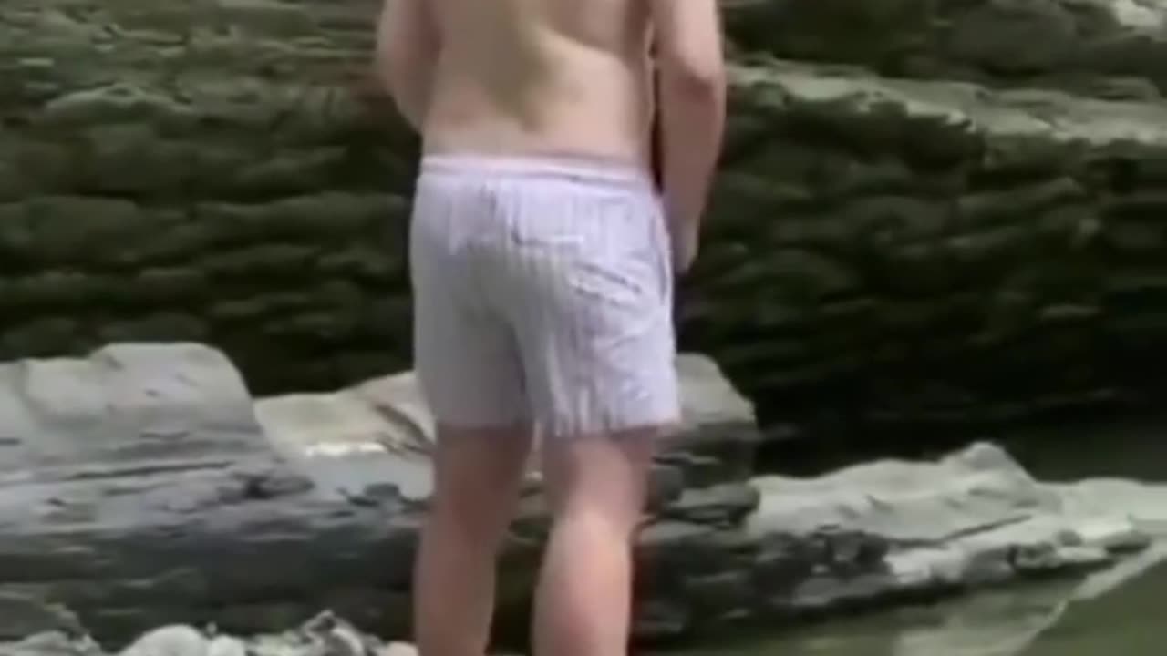 Funny videos