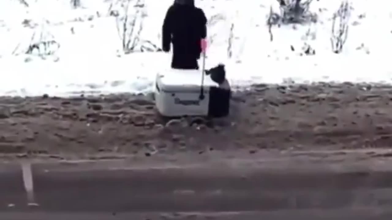 Delivery robot gets stuck