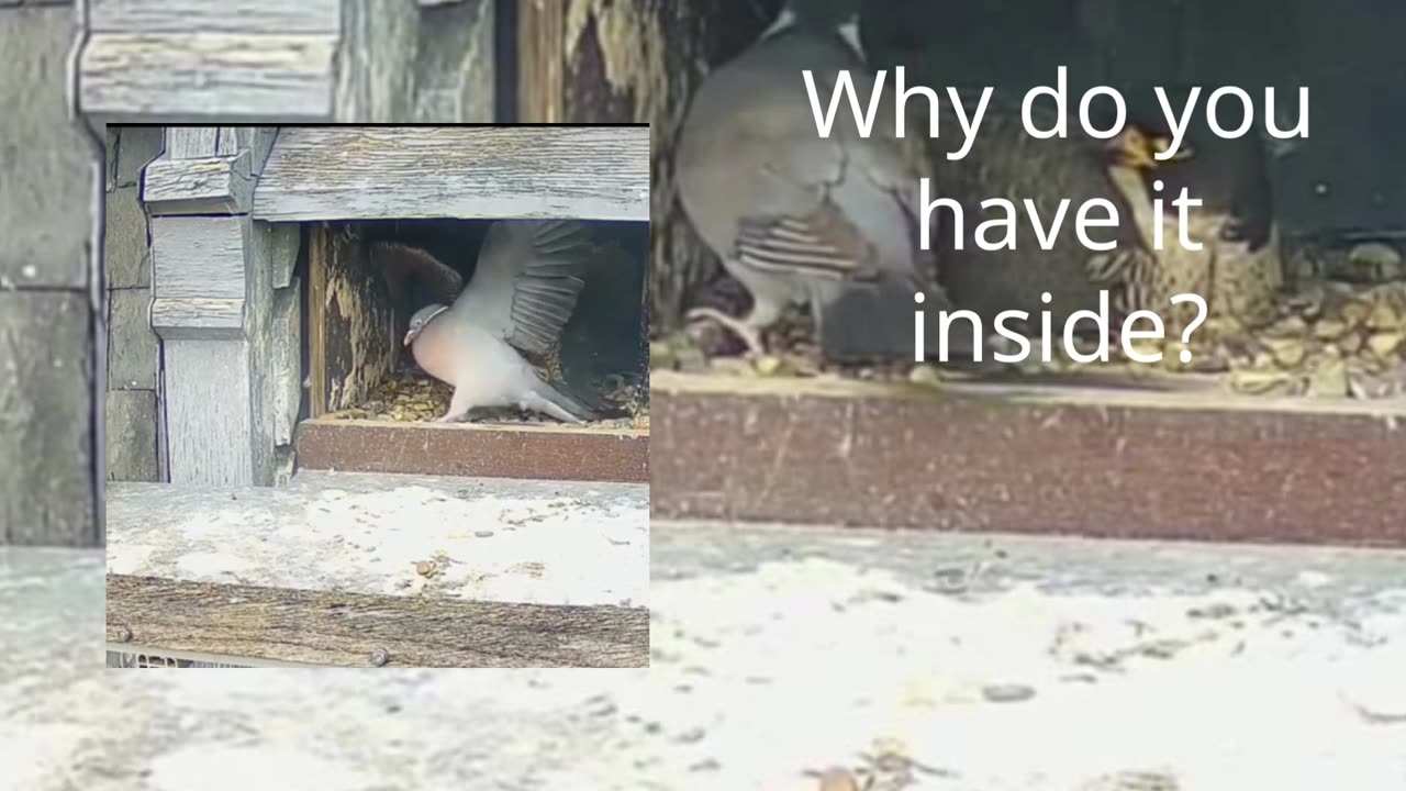 Why do you have it inside?