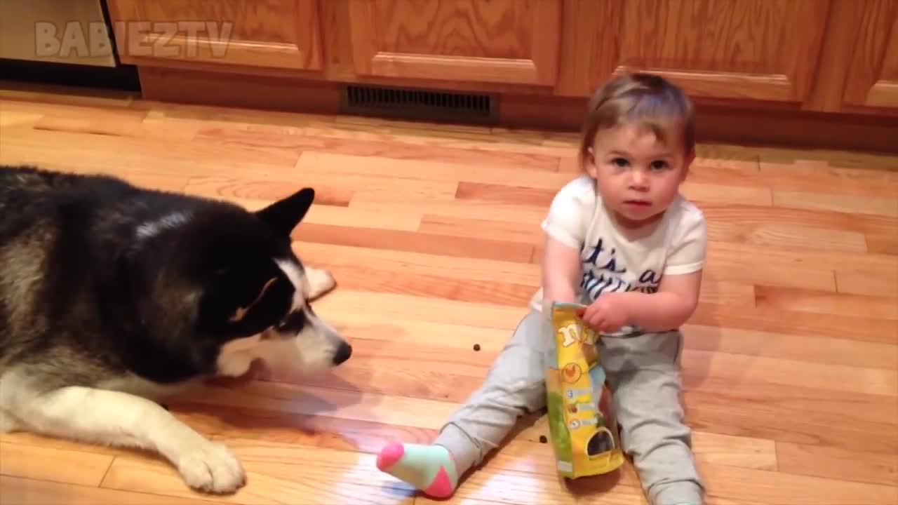 Adorable Babies Playing With Dogs and Cats - Funny Babies Compilation 2018