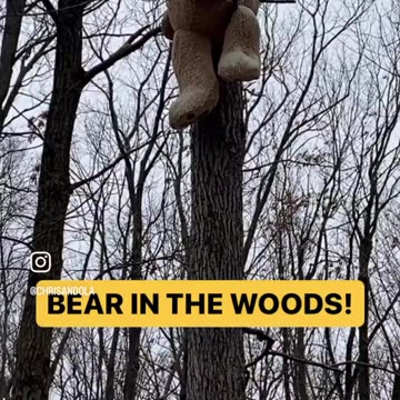 EVER SEEN THIS BEFORE?