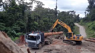 Unloading Logs from Logging Truck