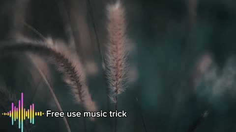 Beautiful Gentle Music - Free to Use | No Copyright | AMT No Copyright Music #nocopyrightmusic