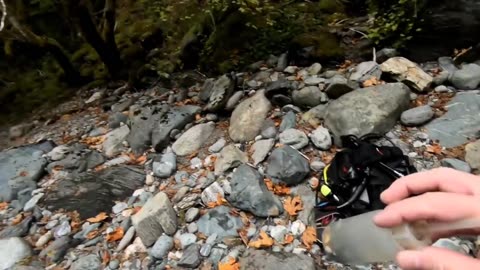 Diver Finds $1500 Of Gold Nuggets In Bedrock Crack!