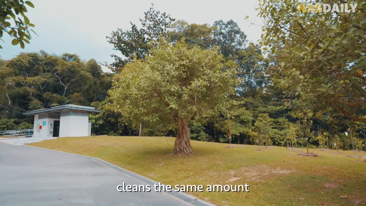 He Turned a Tree into Liquid