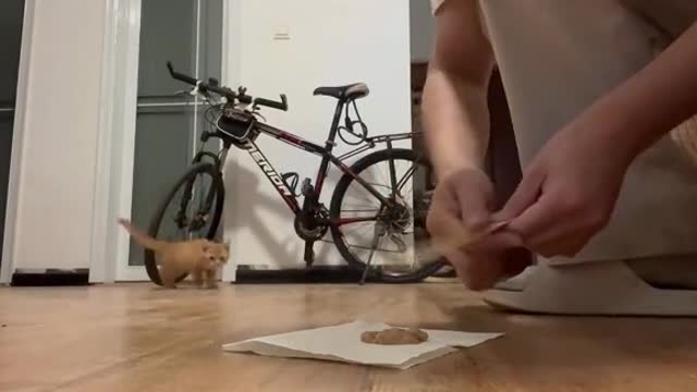 She was so desperate for food🤣